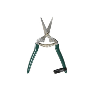 Woodland Wonders Snips
