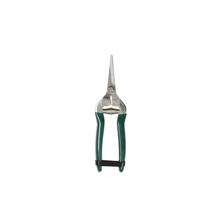Woodland Wonders Snips