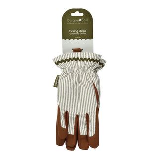 Colour Collection Gloves - Olive Stripe