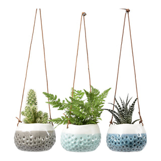 Hanging Pot - Baby Dotty Trio