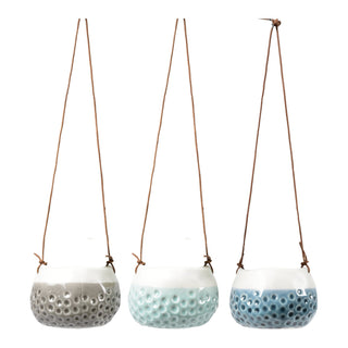 Hanging Pot - Baby Dotty Trio