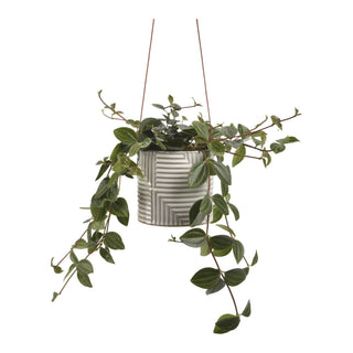 Hanging Pot - Modena