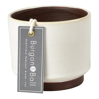 Succulent Pot - Malibu Cream