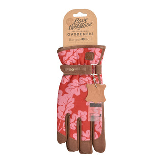 Oak Leaf - Pop M/L