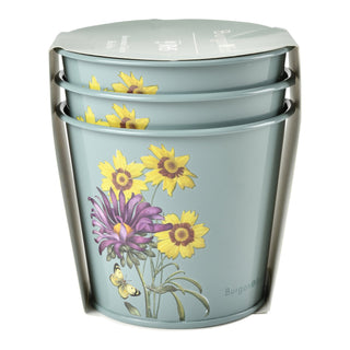 Aster Herb Pots