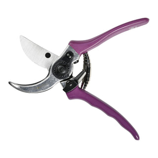 Aster Secateurs