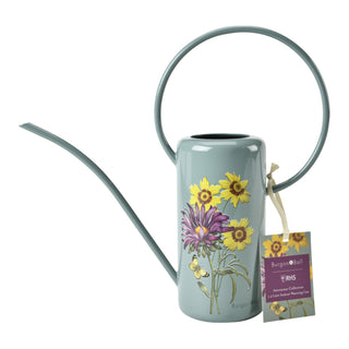 Aster Indoor Can