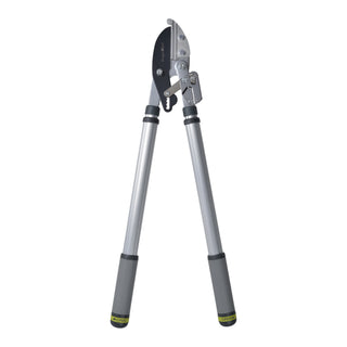 RHS Telescopic Ratchet Lopper
