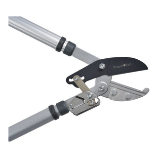 RHS Telescopic Ratchet Lopper