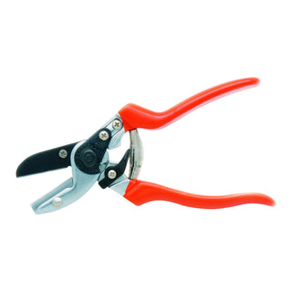 RHS Anvil Secateur