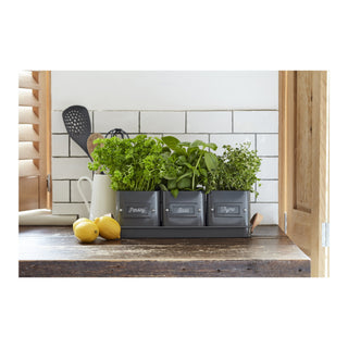 Herb Pots Tray - Charcoal