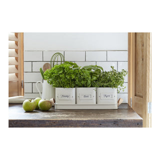 Herb Pots Tray - Stone